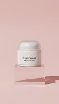 Clean Canvas Moisturizer Oil-Free Formula